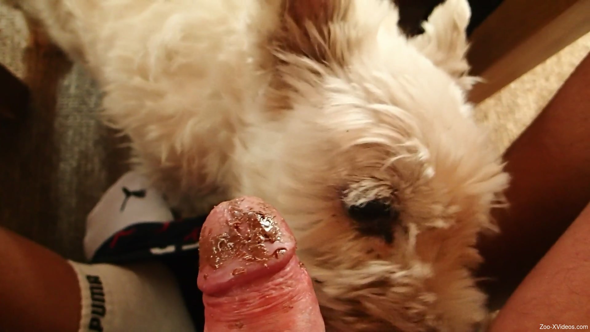 Dude enjoys a sloppy BJ with some ball licking