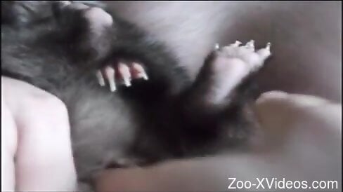 Aroused woman involves furry animal in her dirty perversions