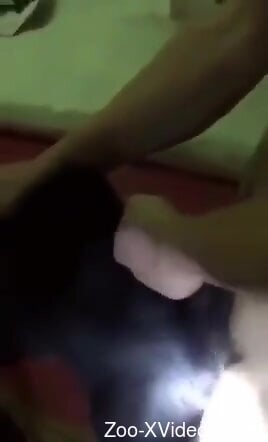 Guy looks ready to stretch out this horny dog