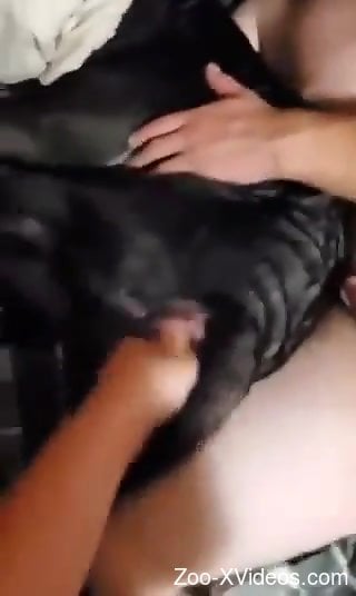 Hot dude fucks a twisted animal with a nice dildo