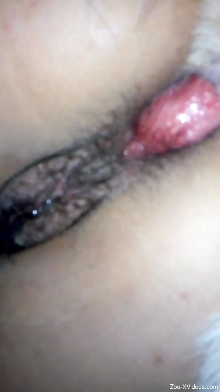 Closeup with a woman enduring large dog cock into her wet ass