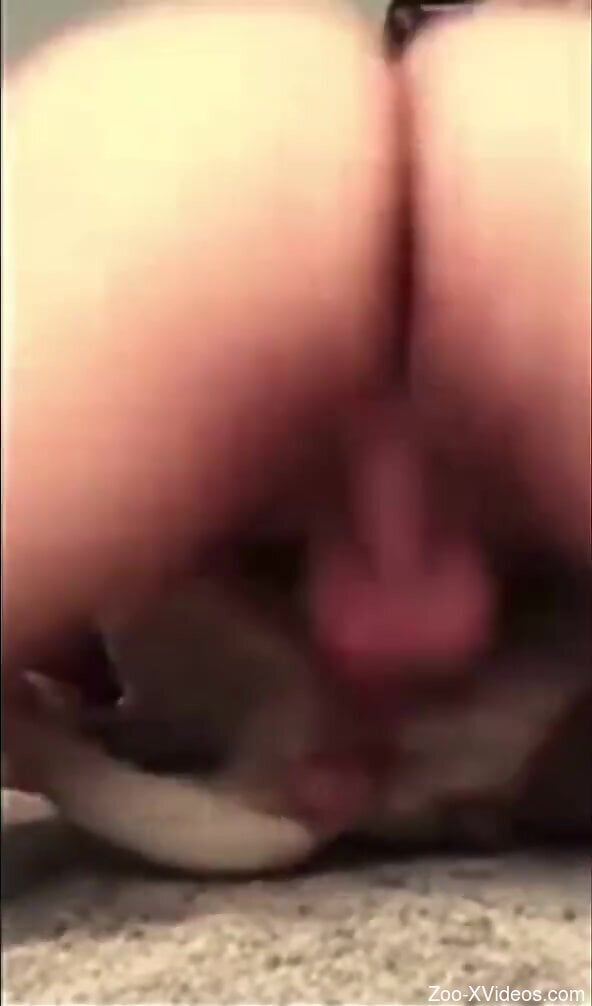 Horny man fucks his dog in the pussy and ass while on cam