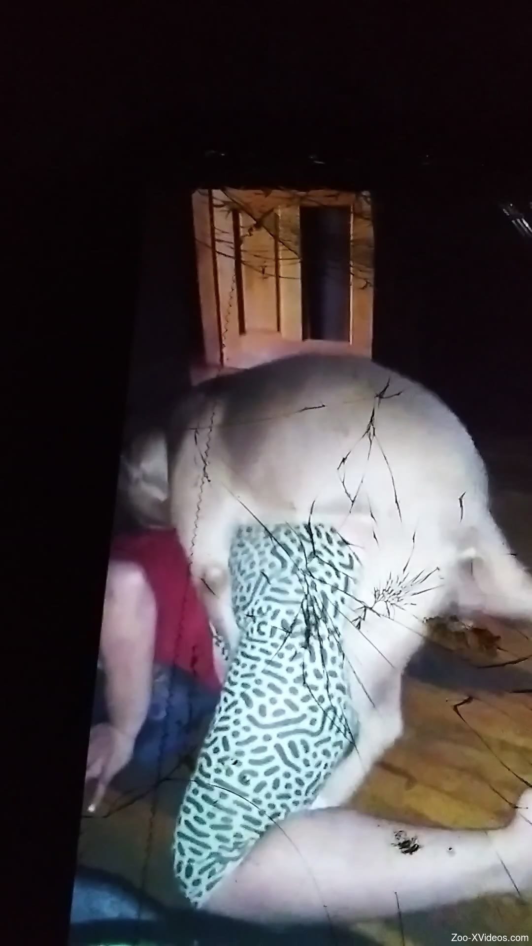 Sexy beast featured in a really taboo porn movie