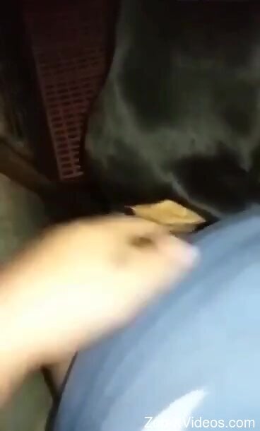 Hot guy is going to fuck the animal's tight  hole