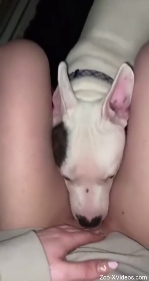 Sensual woman tries masturbating whilst the dog licks her pussy