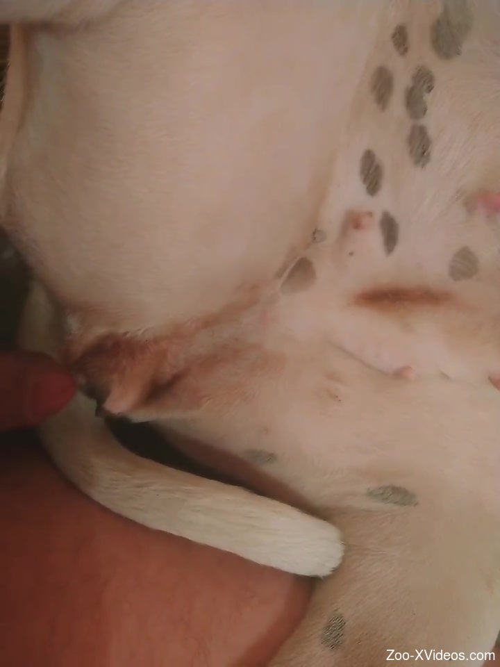 Pretty animal pussy deserves the best kinda fucking