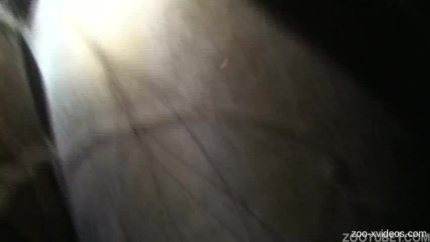 Strong Japanese zoophilia between a man and a horse