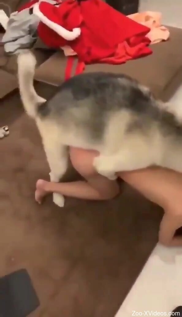 Naked woman doggy style fucked on cam by her furry dog