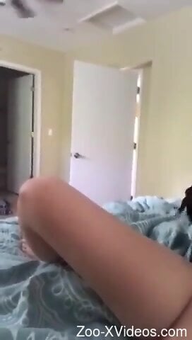 Black spotted dog is busy fucking the horny babe