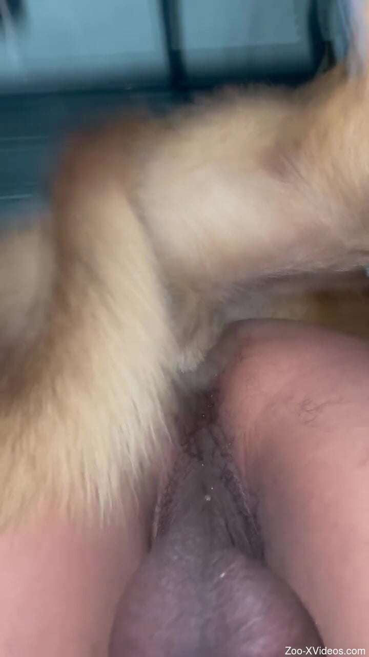 Anal fucking scene with a phat assed zoophile