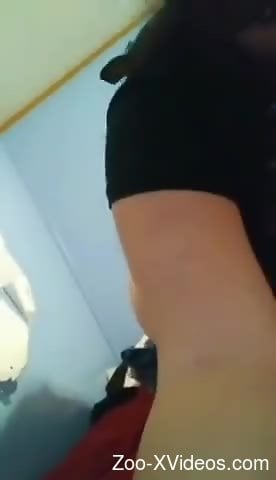 Black dog gets behind a chubby white woman for sex