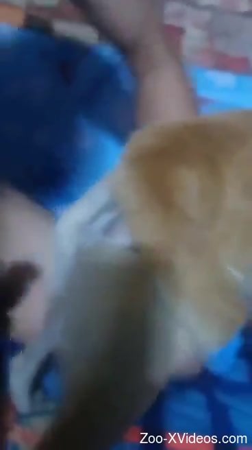 Aroused man fucks furry dog in both holes and films himself