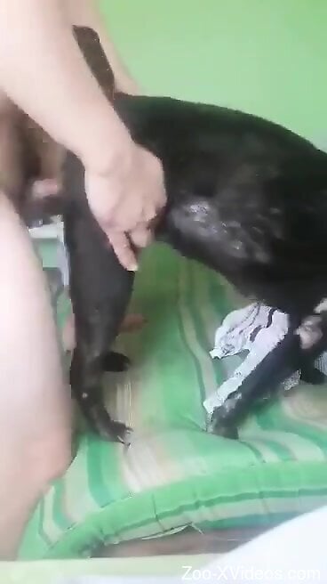 Dude is going to use his hairy cock to dominate