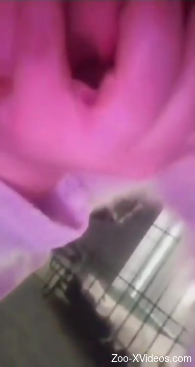 Dirty scenes of home animal perersions in pretty spicy angles