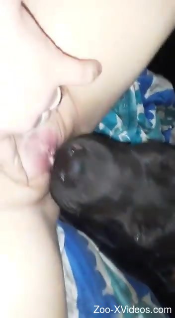 Black dog licking her crack with hot closeups