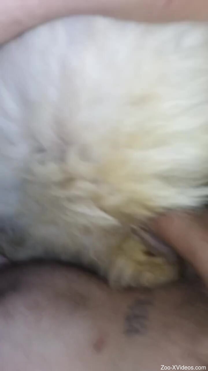 Energized man loudly fucks furry dog in brutal home kinks