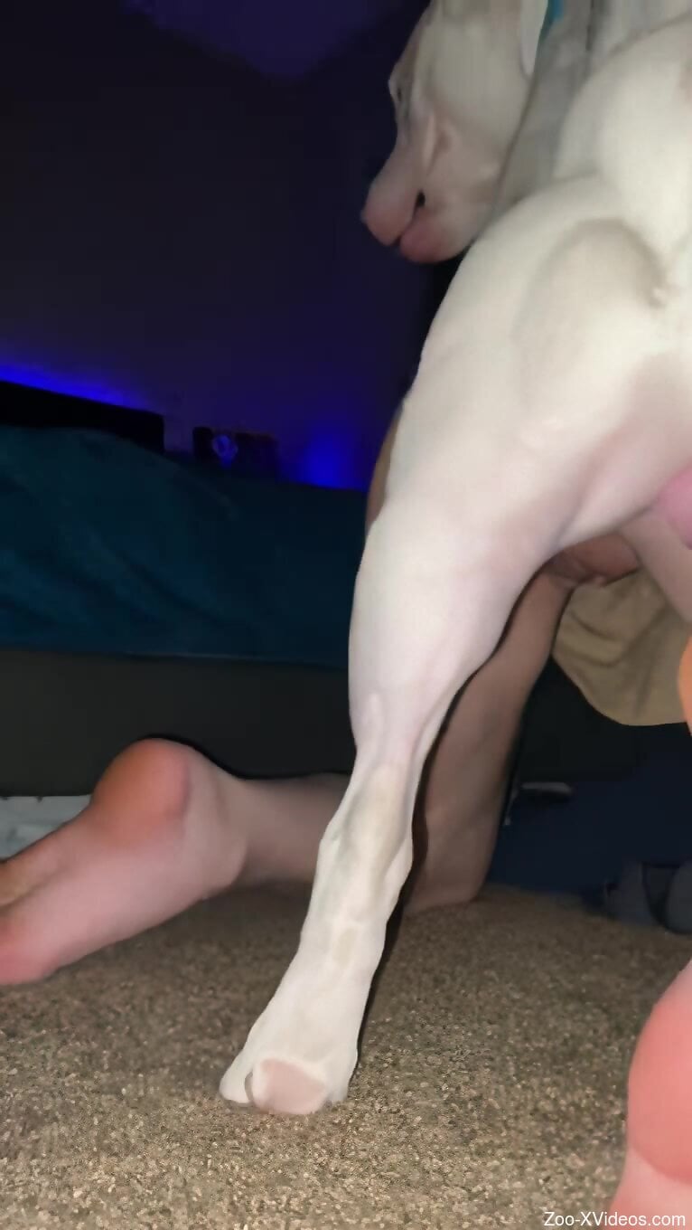 Naked amateur chick cam fucked by her dog in amazing doggy-style