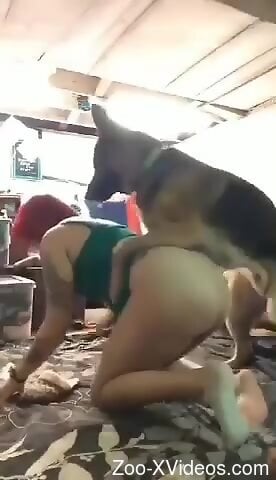 German Shepherd initiates bestiality sex in doggy style