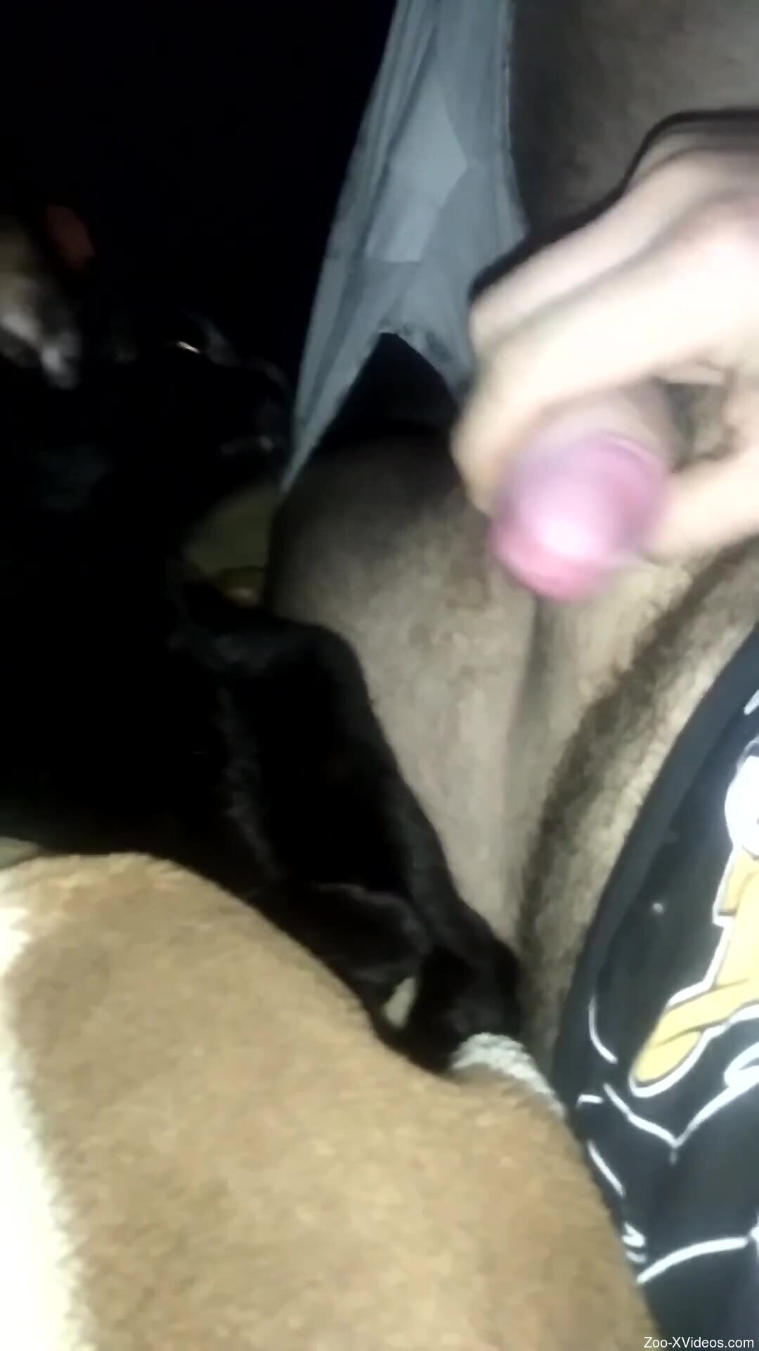 Dude is ready to feed cat his kinky cock as well