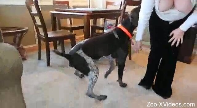 Insolent mature throats the dog dick in very slutty modes