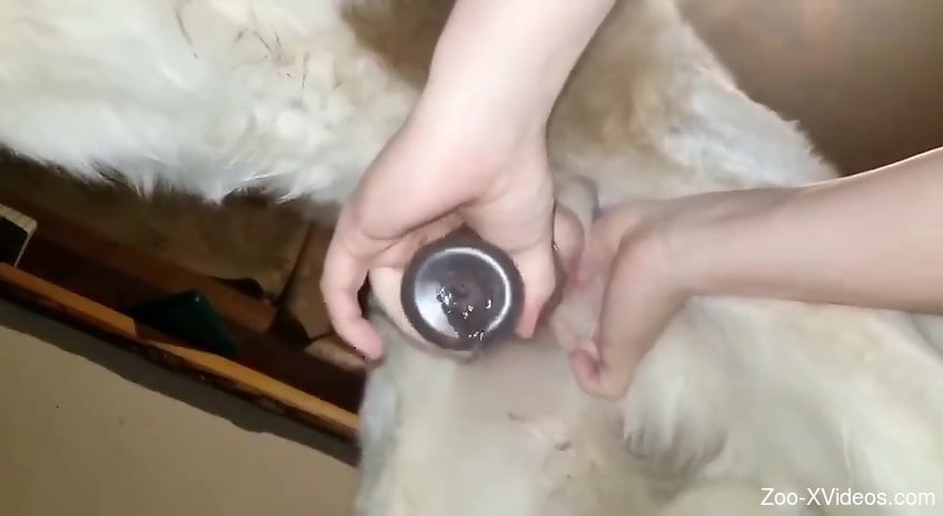 Animal enjoying a hardcore fuck with a real toy