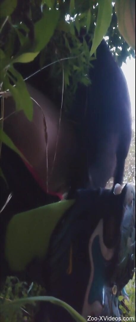 Nude man tries entire horse cock in the butt hole