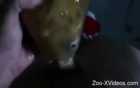 Dead fish getting power-fucked in a POV zoo movie