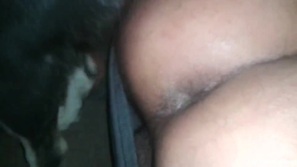 Dirty as hell bestiality sex with a gorgeous black dog