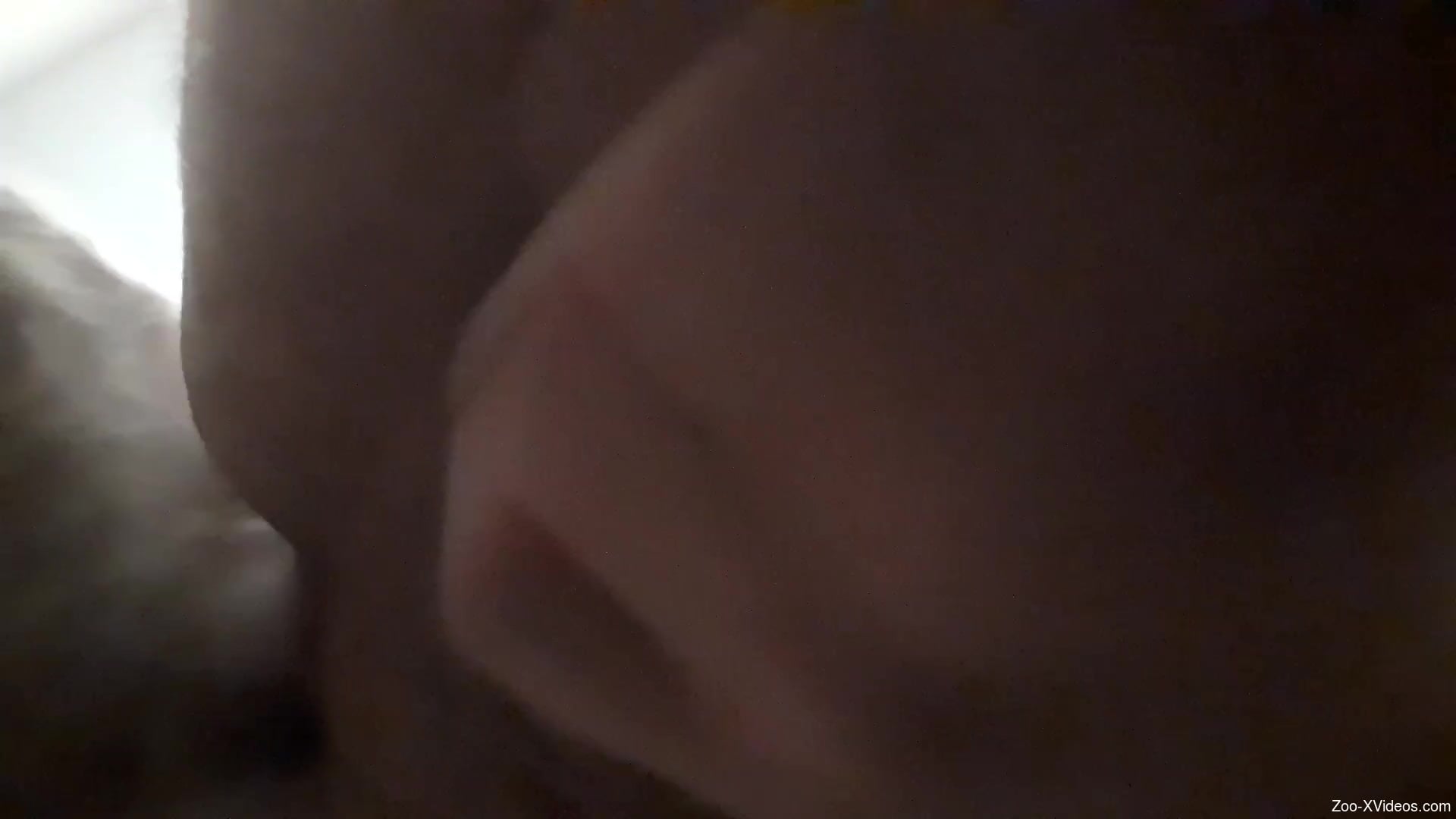 Midnight romance with a man trying dog dick in the ass