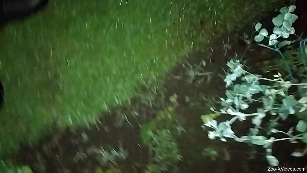 Dude lets a snail crawl inside his tasty foreskin