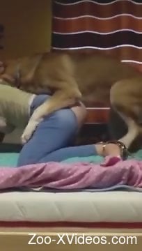 Ripped pants babe lets a dog fuck her from behind