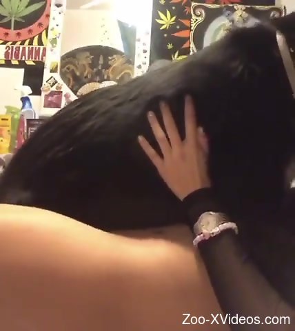 Horny animal humping her hole to make her explode