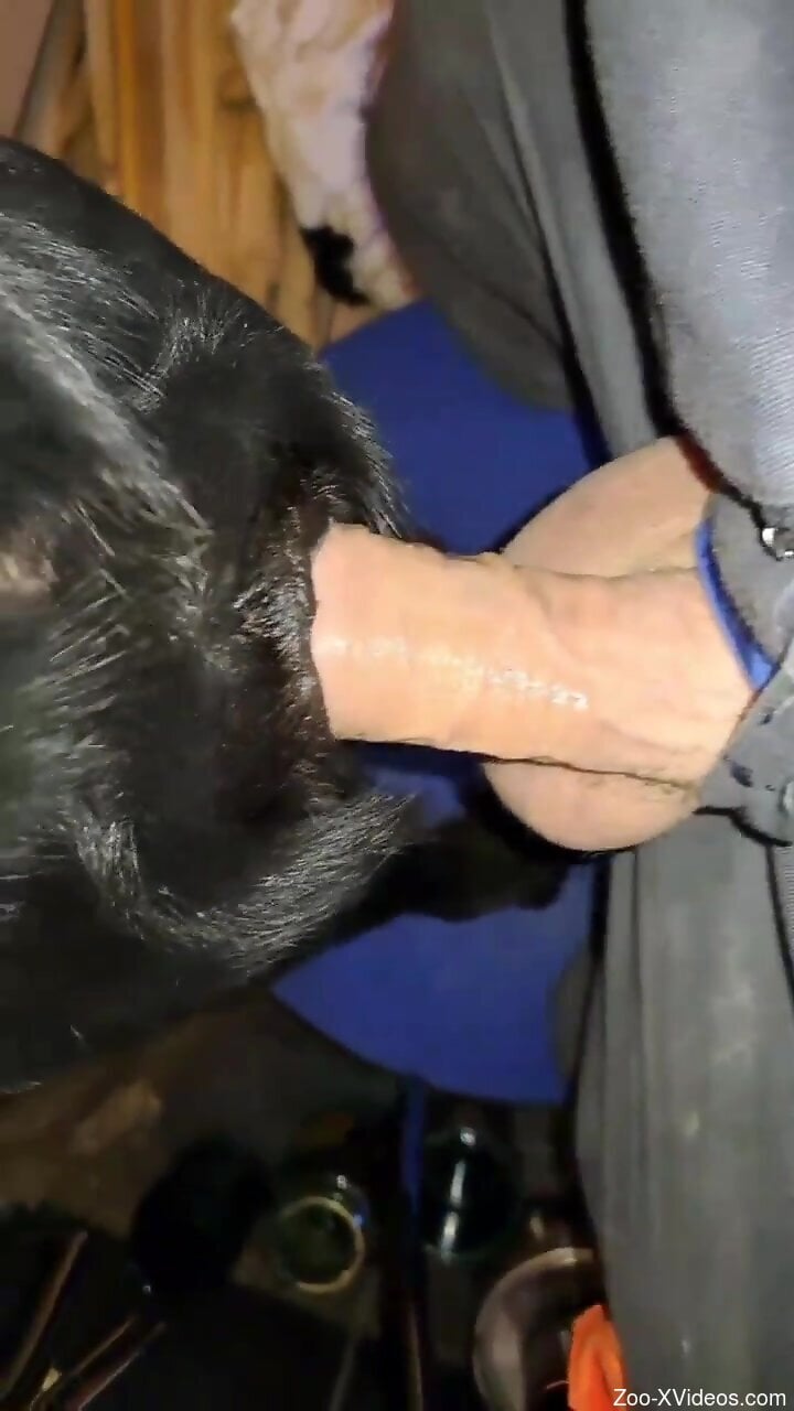 Guy's natural dick slides in a beast's hot hole