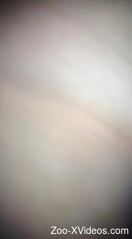 Zoophilic beauty deserves a nice cock in her hole