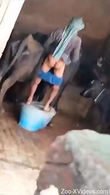 Nude man tries to fuck a cow at the farm and gets filmed