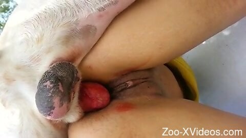 Dog fucks naked woman in the ass and makes her come big time