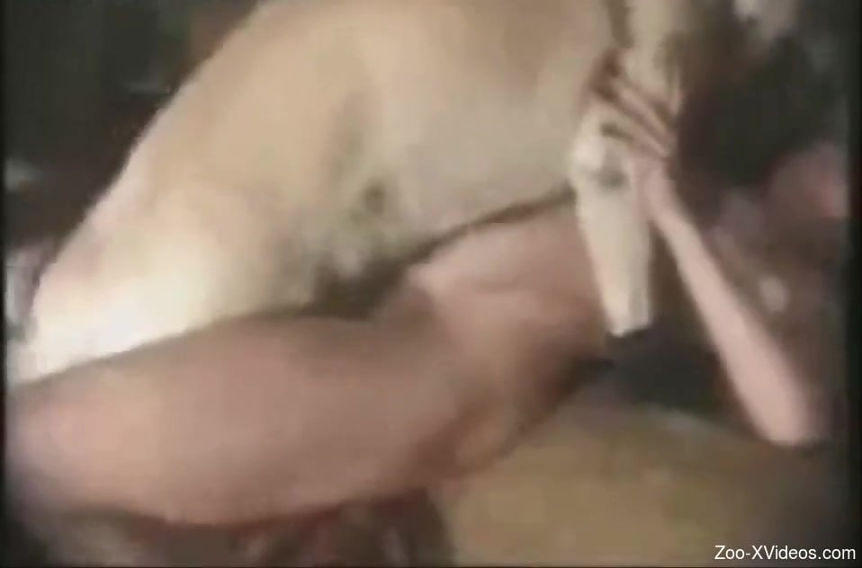 Doggy fuck scene with a wet-pussied hottie in HD