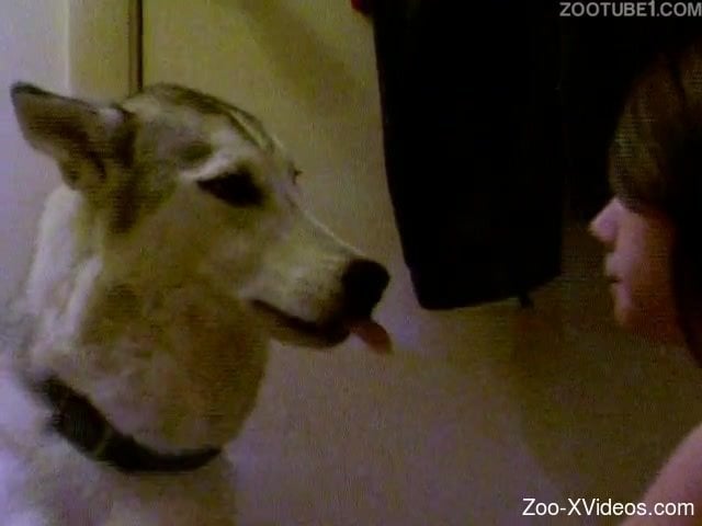 White dog kisses a sexy dark-haired zoophile slut