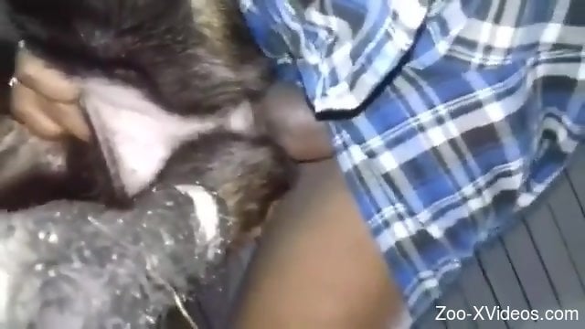 Hairy doggi is fucked by a kinky hung zoophile