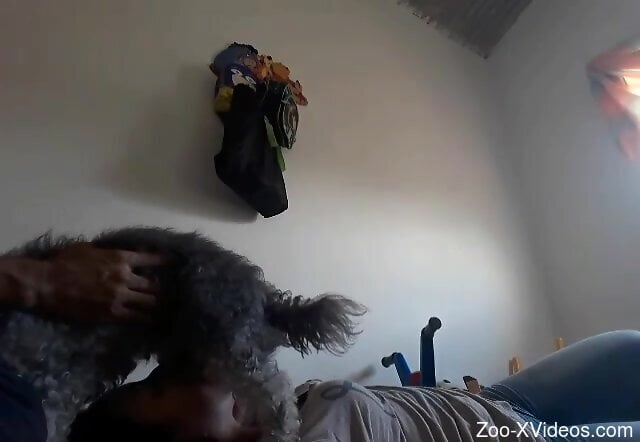 Clothed amateur woman sucks the dog's penis in slutty scenes