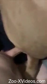 Hot guy using his HUGE cock to fuck a twisted dog