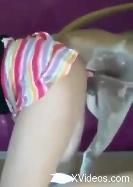 Sexy woman filmed when taking the dog dick from behind