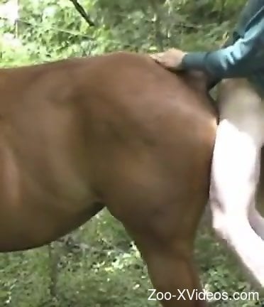 Brown mare getting pounded by a horny pony lover
