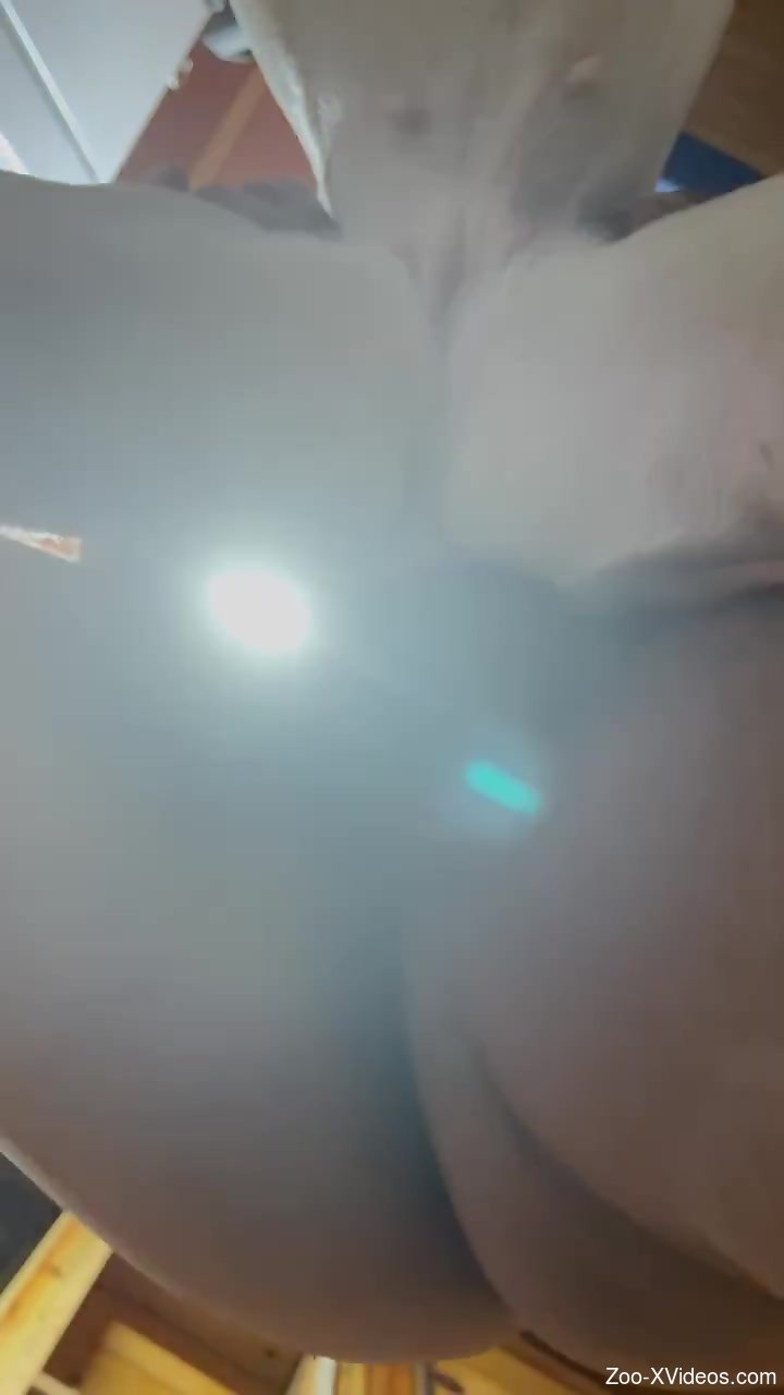 Dude aims his cock in away that would make the dog scream