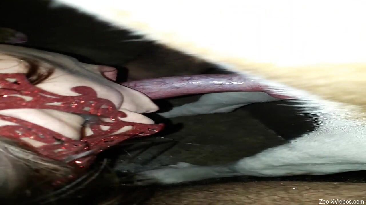 Steamy amateur filmed when she outs the dog dick in her mouth