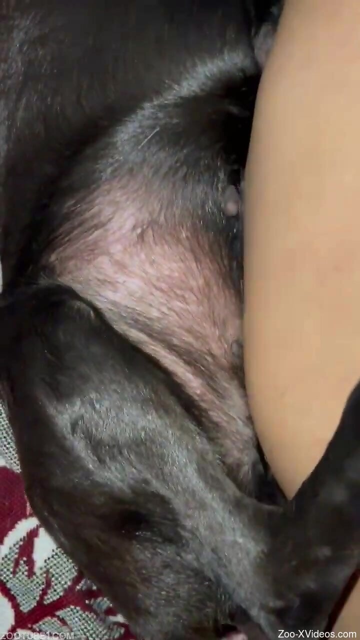Guy uses his veiny throbber to fuck a doggo too