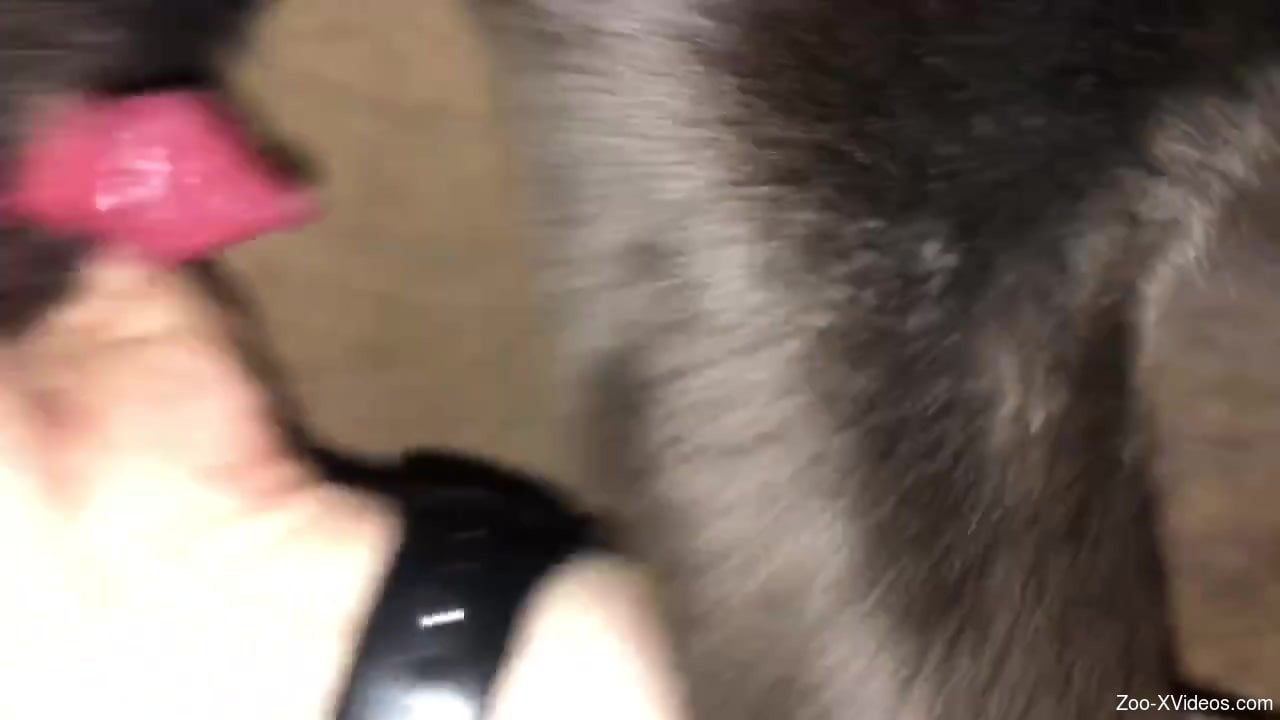 Dude uses his hand to keep the beast very horny