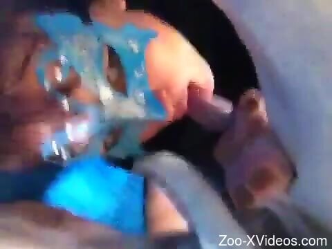 Masked beauty sucks the dog dick in excellent cam rounds