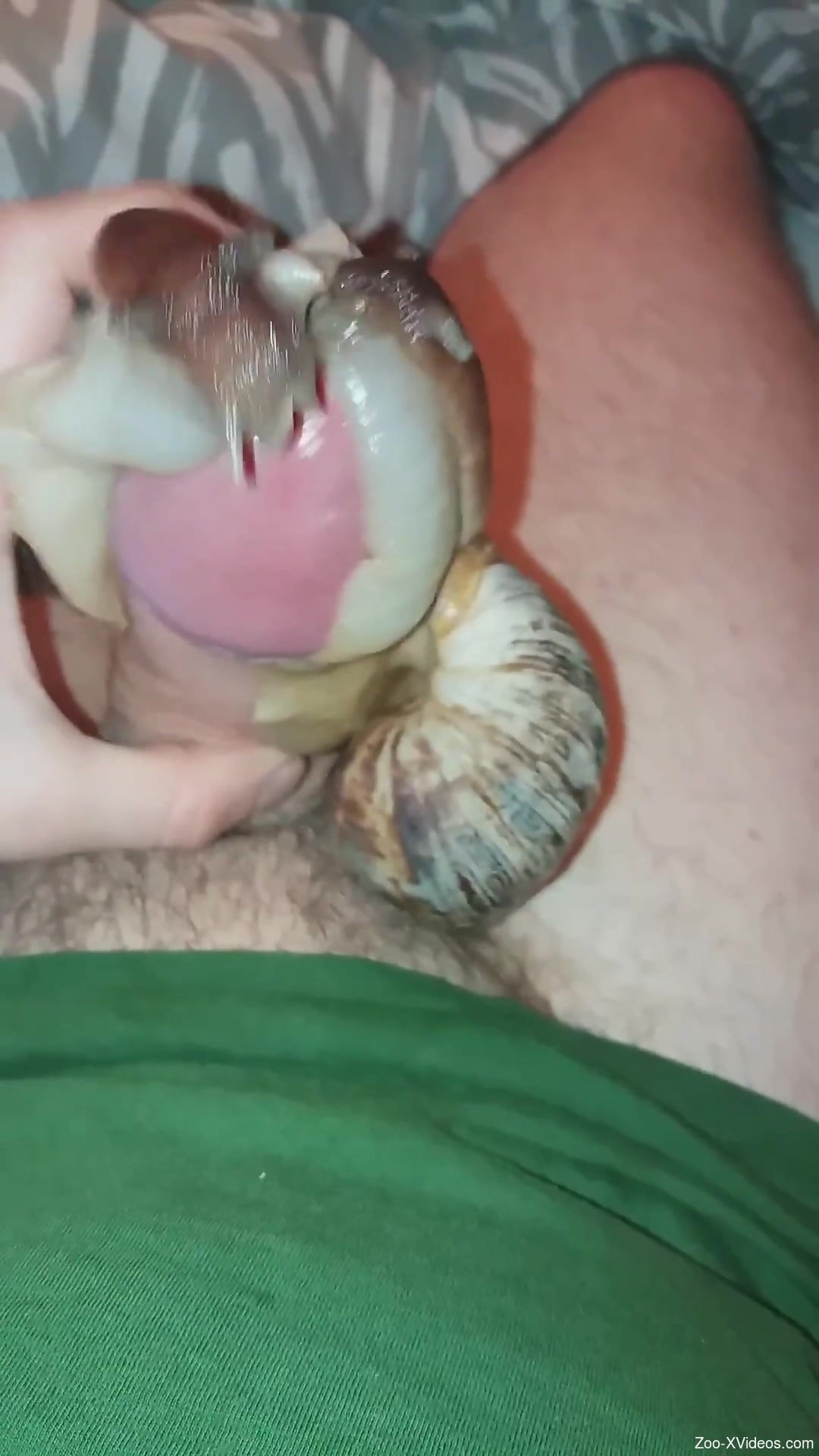 POV porno video featuring a guy and his snails