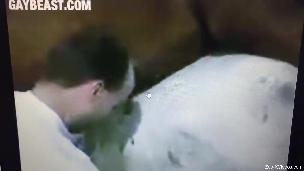 Bearded dude grabs the stallion by the cock to help it cum